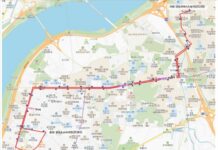 강동구 다람쥐 버스 노선 신설…3월 11일 운행 개시