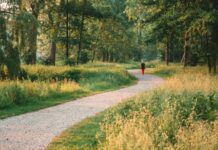 4월, 봄바람을 타고 활력 넘치는 직장인이 되는 운동