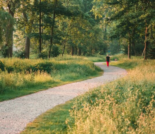 4월, 봄바람을 타고 활력 넘치는 직장인이 되는 운동
