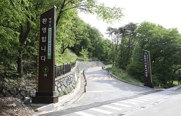 '스마트폰 속의 신분증'