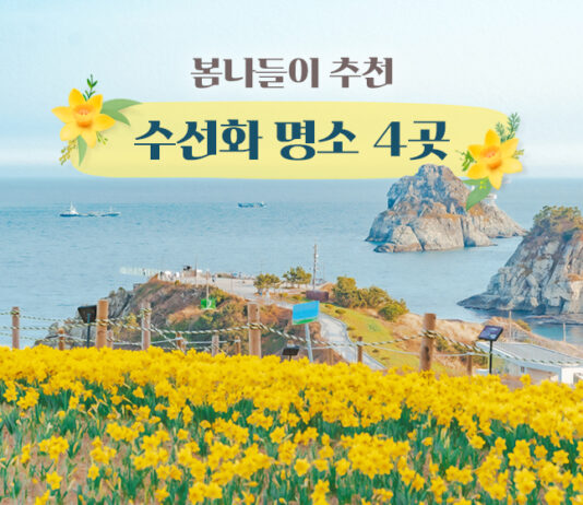 봄나들이 추천 수선화 명소 4곳