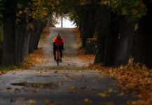 운동으로 건강한 가을 보내기, 체중 감량의 필수 전략 person riding bicycle between trees
