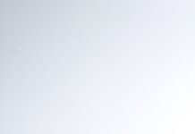 물 주는 시간이 제일 고요하고 좋아요. green plant in white and blue ceramic pot