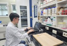 미생물로 악기용 목재의 음향 품질 높인다