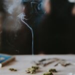 안전하게 더해보는 대체요법, 일상에서 실천하는 건강 루틴 제안 toothpick on popsickle stick